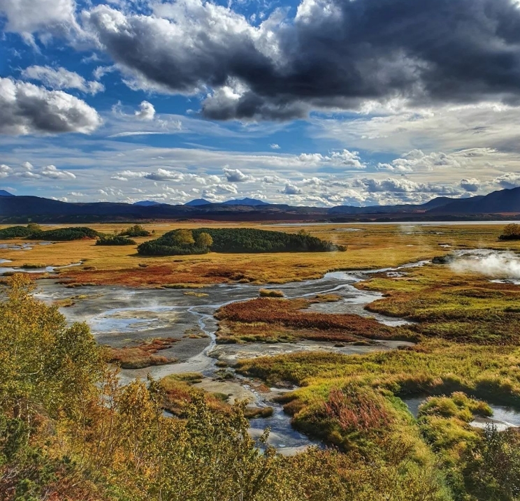 Фото организации