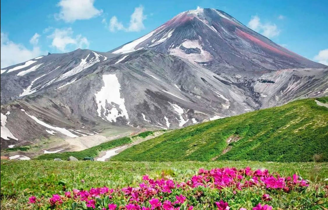 Фото организации