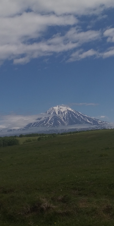 Фото организации