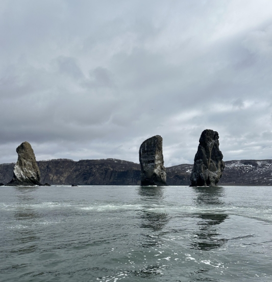 Фото организации