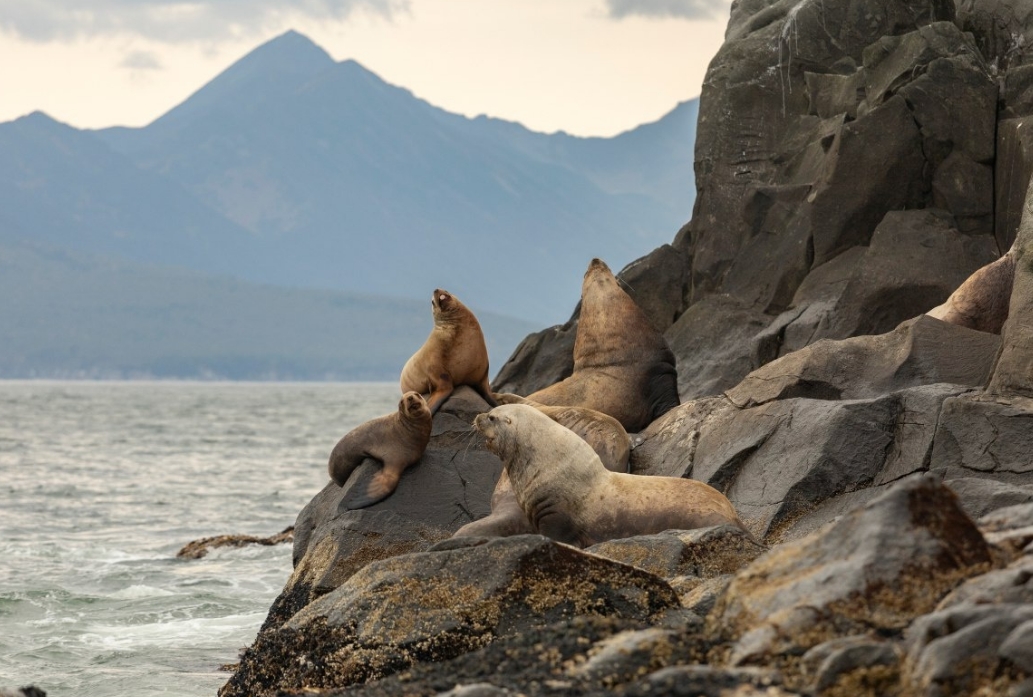 Фото организации