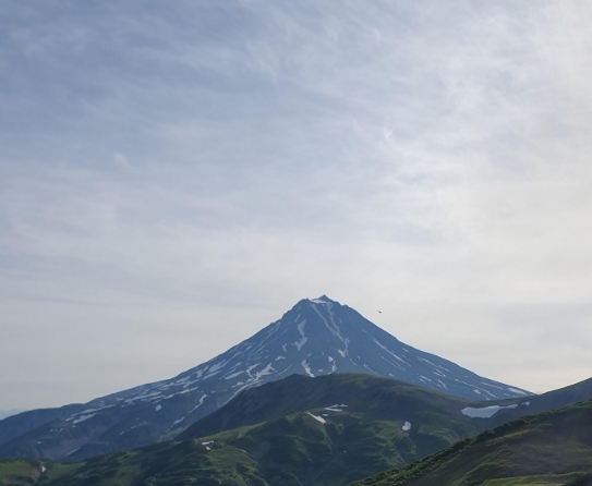 Фото организации