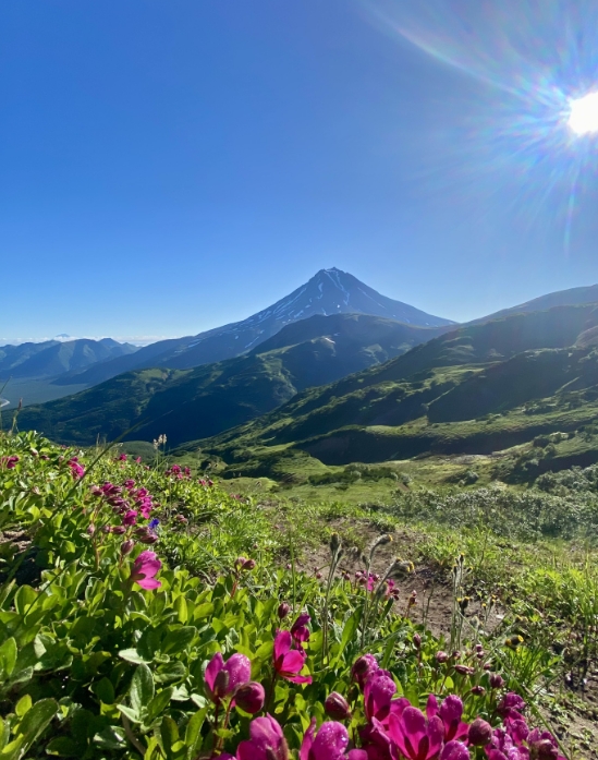 Фото организации
