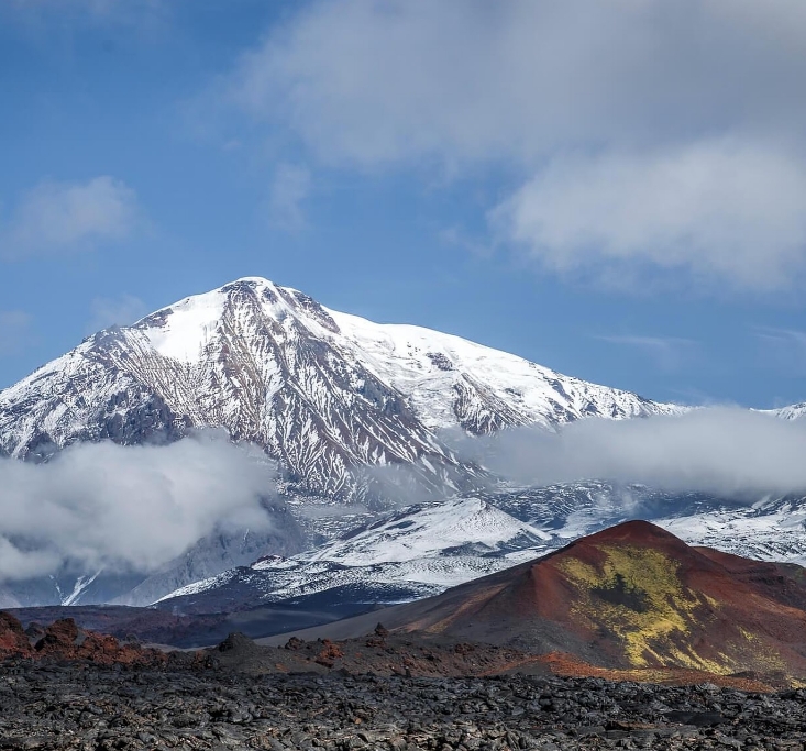 Фото организации