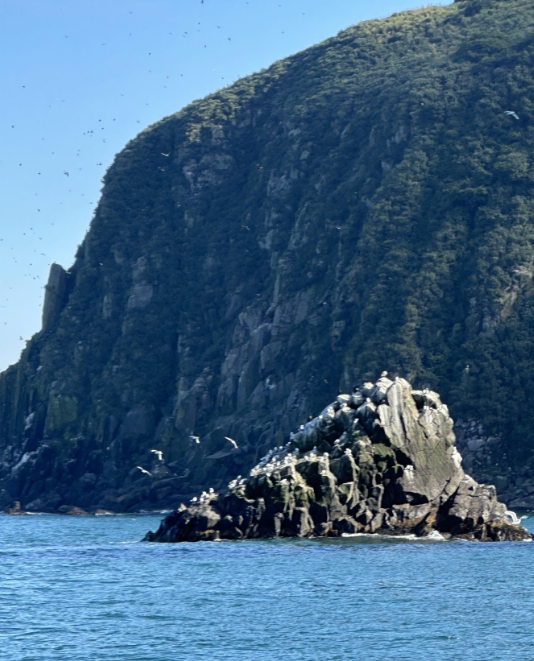 Фото организации