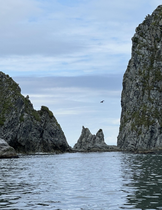 Фото организации