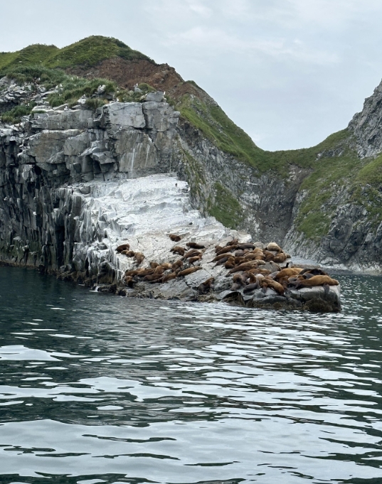 Фото организации