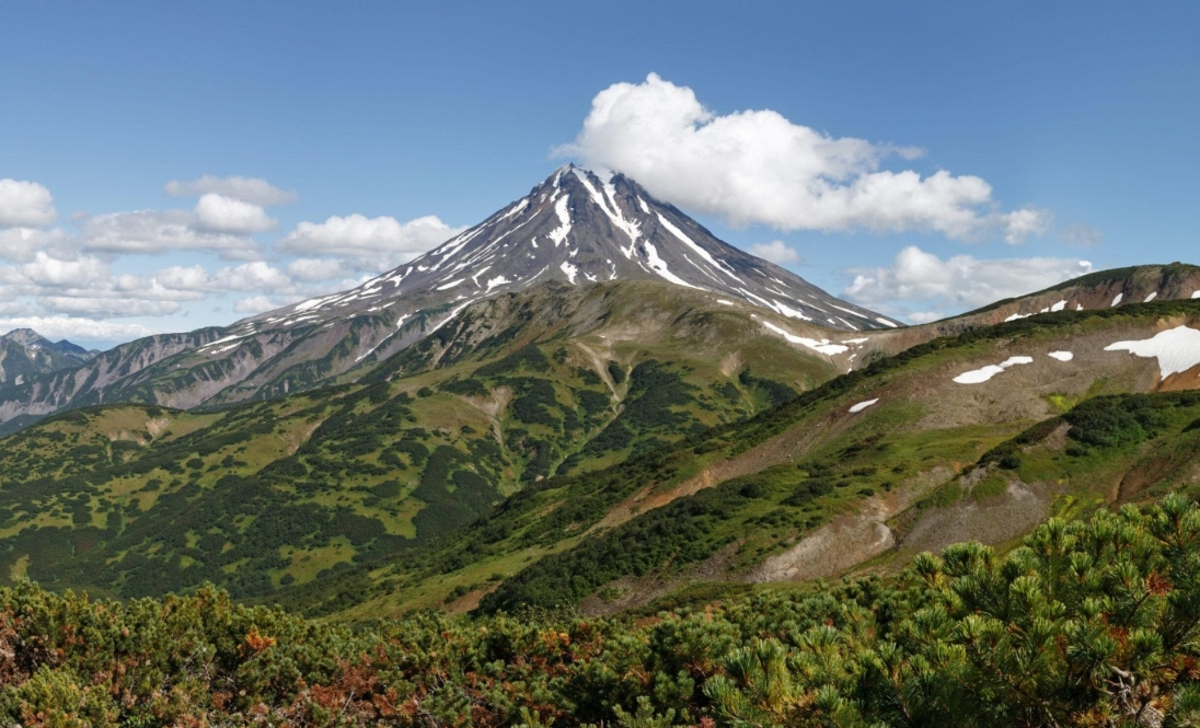 Фото организации