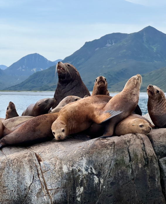 Фото организации