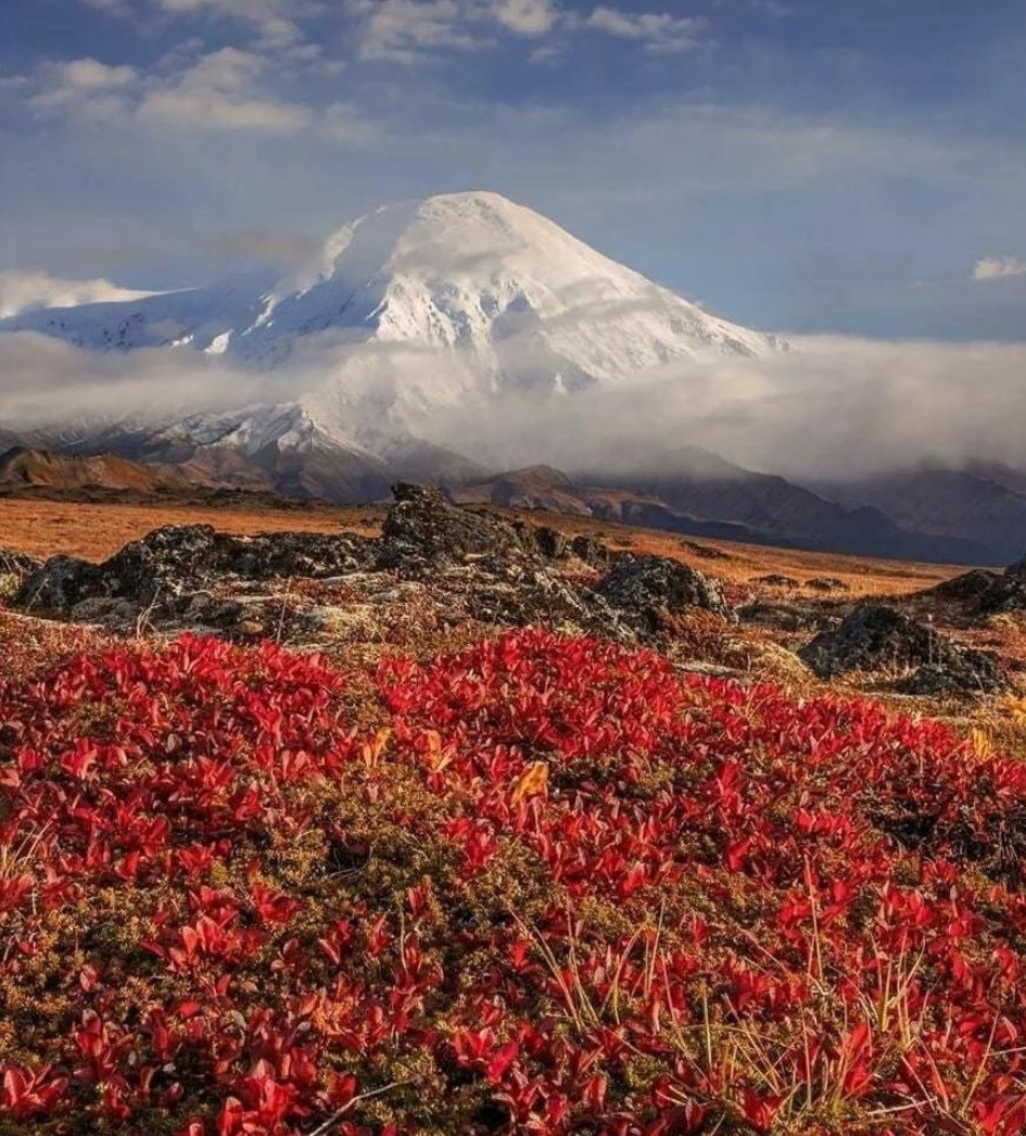 Фото организации