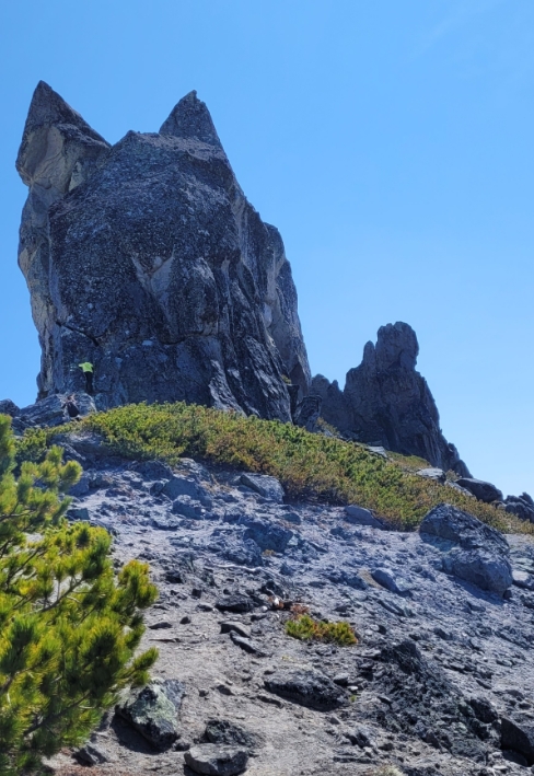 Фото организации