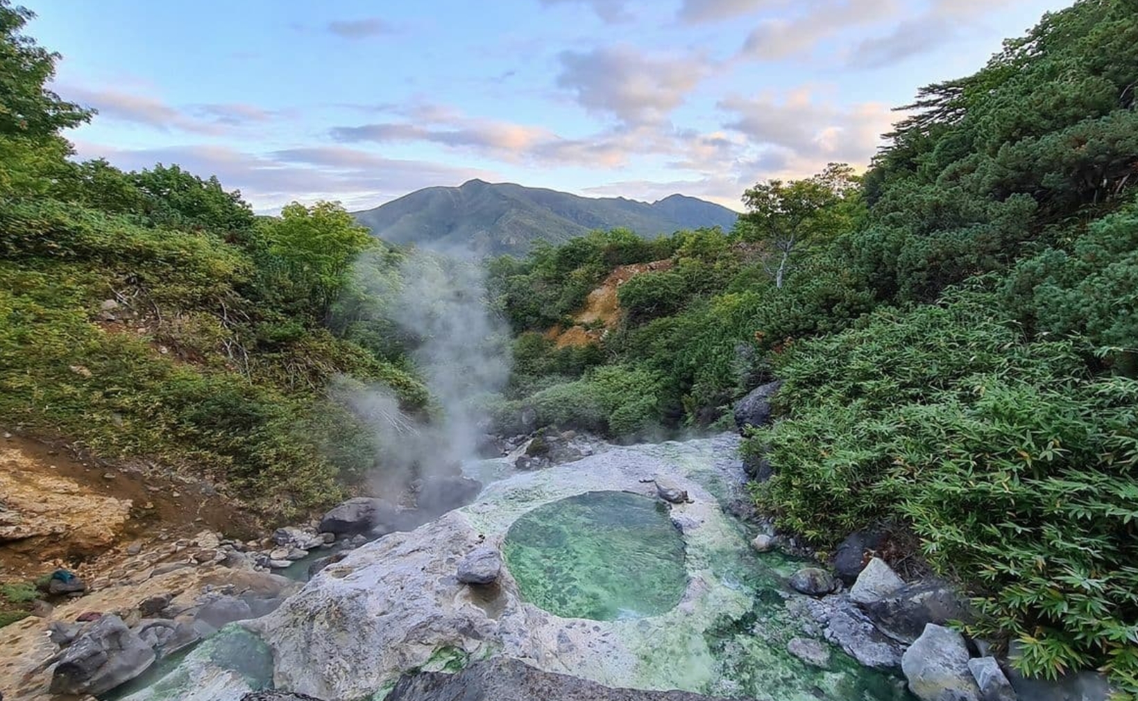 Фото организации