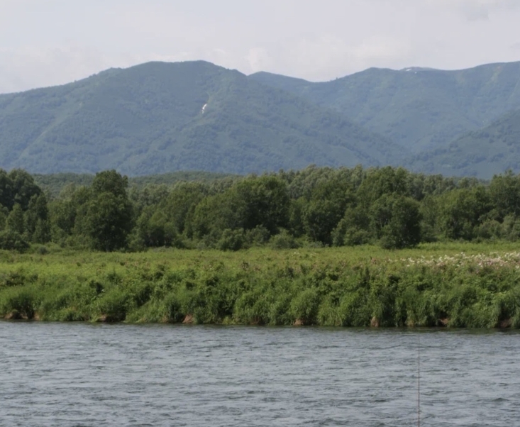 Фото организации