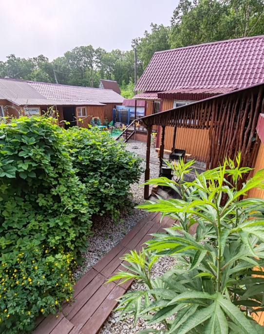 Фото организации