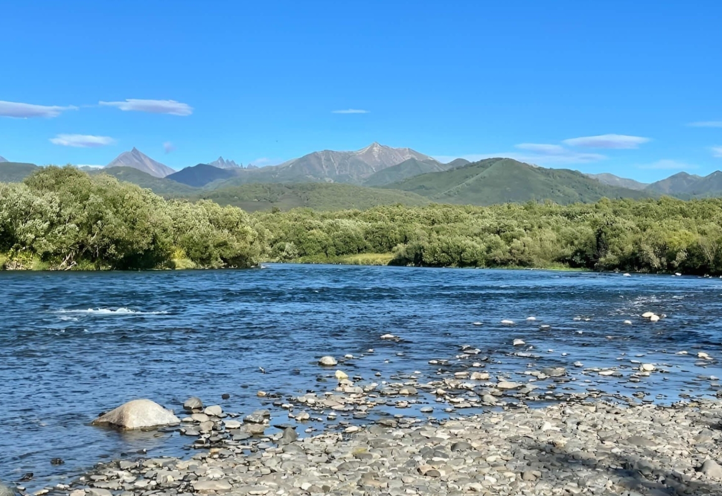 Фото организации