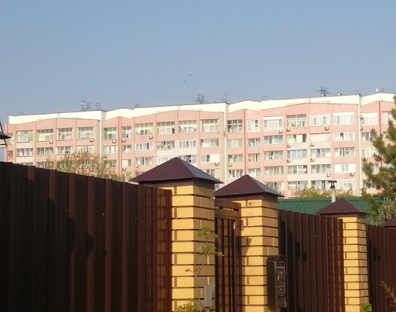 Фото организации