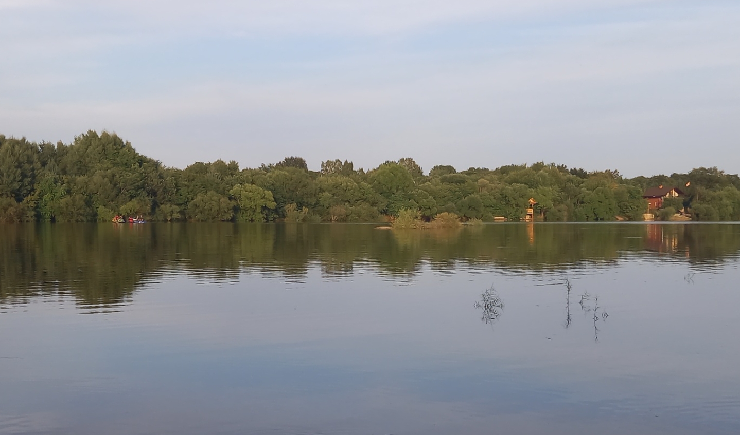 Фото организации