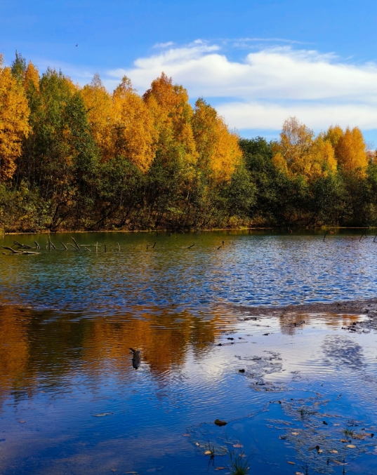 Фото организации