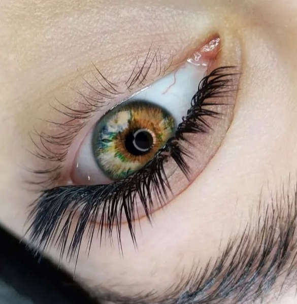 Фото организации