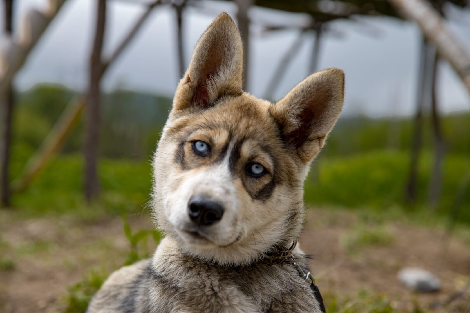 Фото организации
