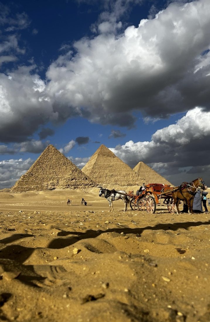 Фото организации