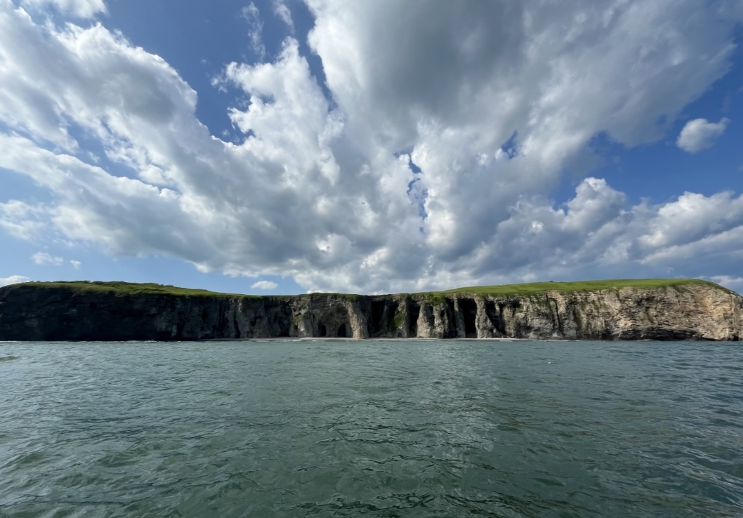 Фото организации